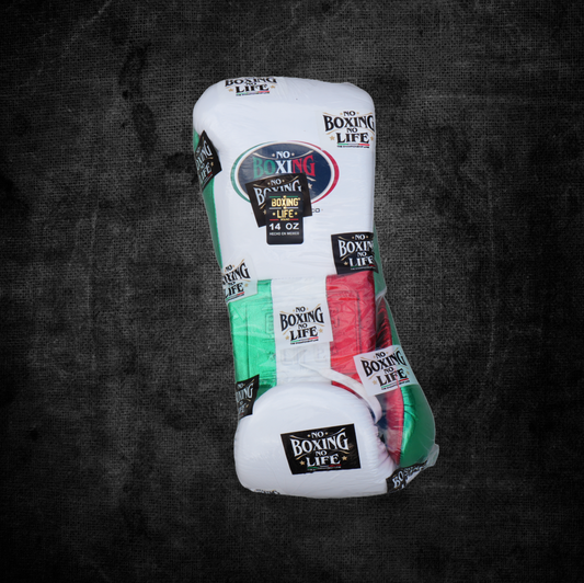 No Boxing No Life MX