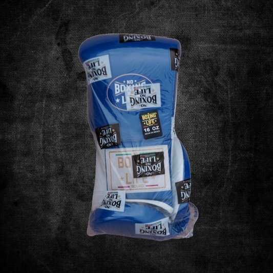 No Boxing No Life Training model Blue