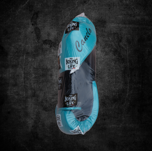 [ Canelo Vs Jaime ] No Boxing No Life Gloves