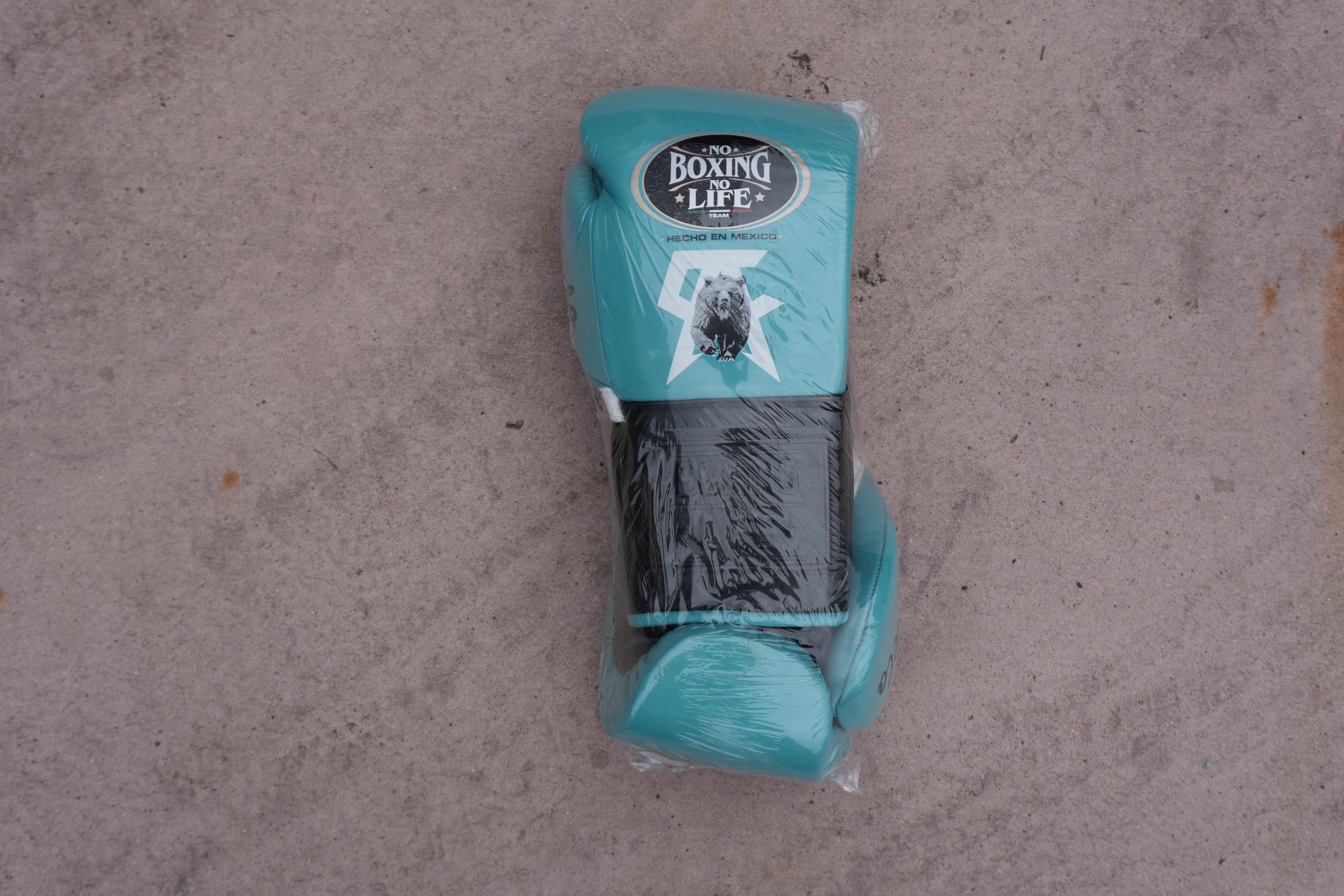 [ Canelo Vs Jaime ] No Boxing No Life 14oz Gloves