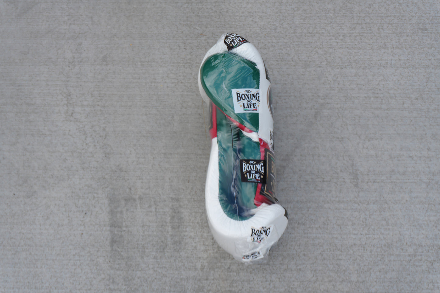 No Boxing No Life Training Model Mexico