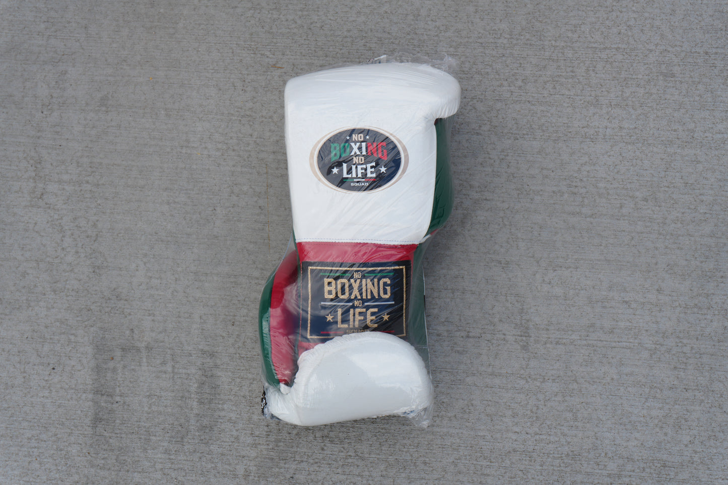 No Boxing No Life Training Model Mexico