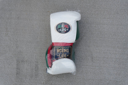 No Boxing No Life Training Model Mexico