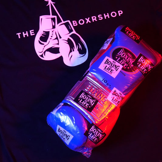 No Boxing No Life professional fight Gloves Blue / Silver / Red