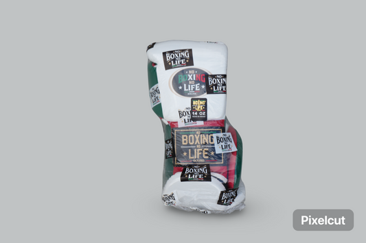 No Boxing No Life Training Model Mexico