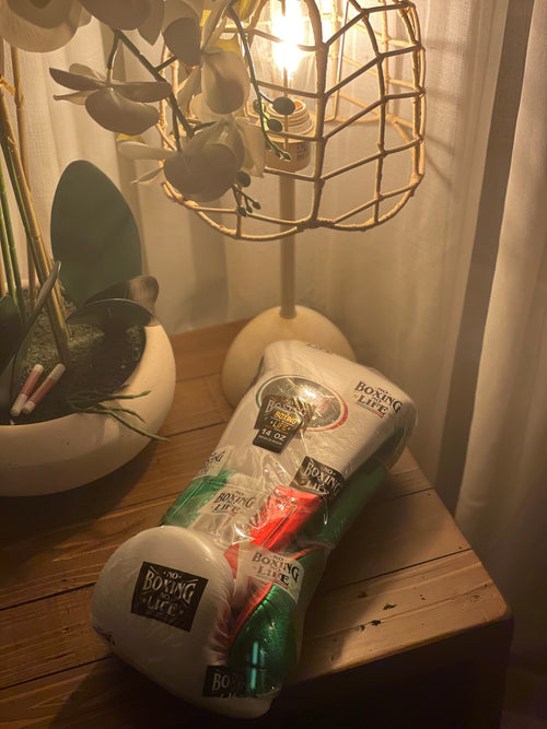 [ Mexico ] No Boxing No Life 14oz Gloves