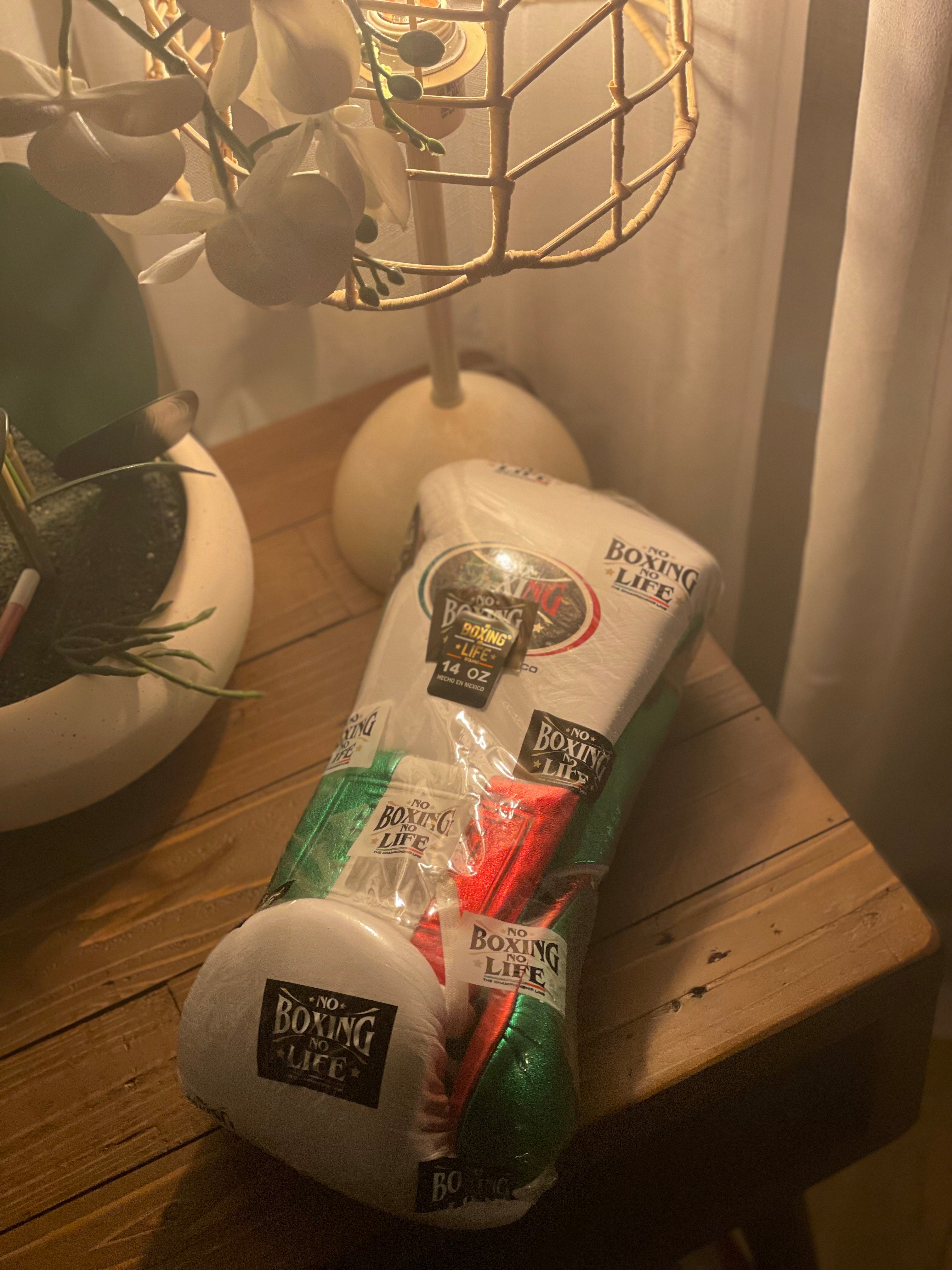 [ Mexico ] No Boxing No Life 14oz Gloves