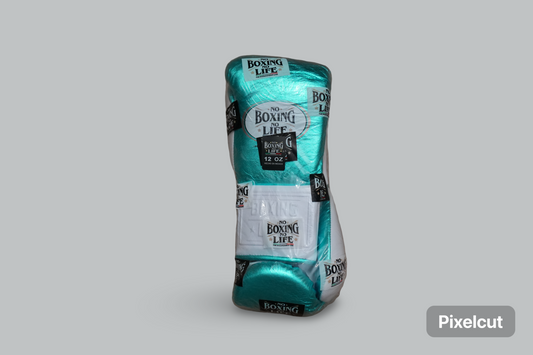 [ Teal & White ] No Boxing No Life 12oz Gloves