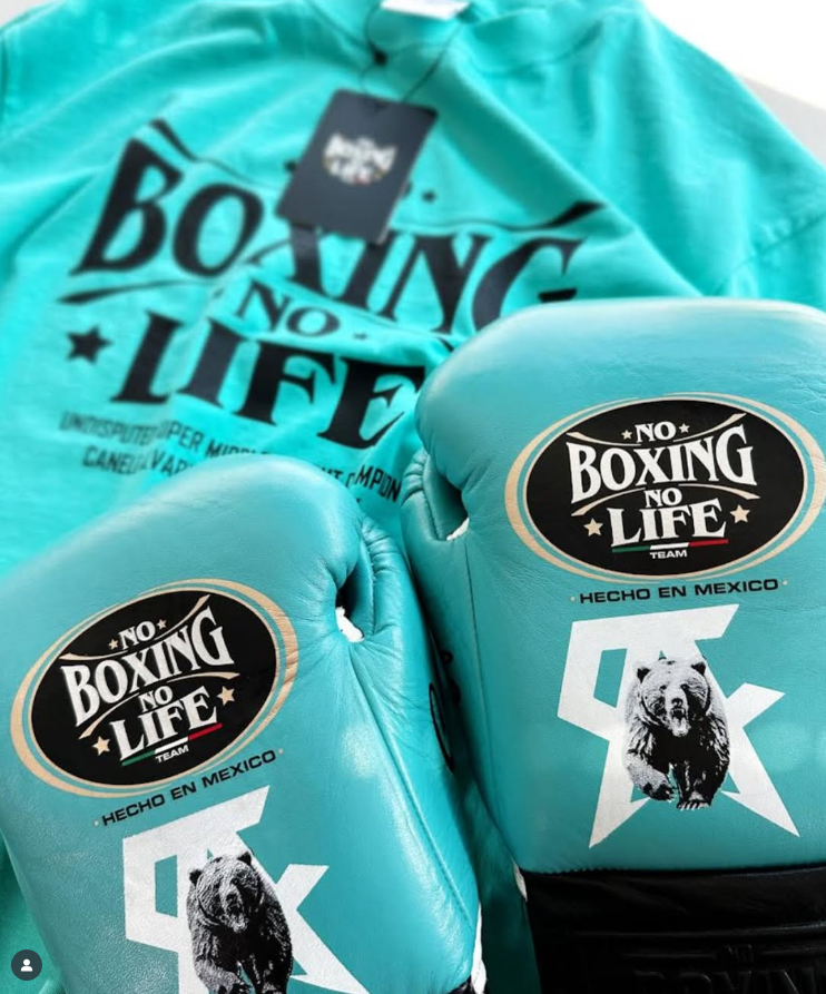 [ Canelo Vs Jaime ] No Boxing No Life 14oz Gloves