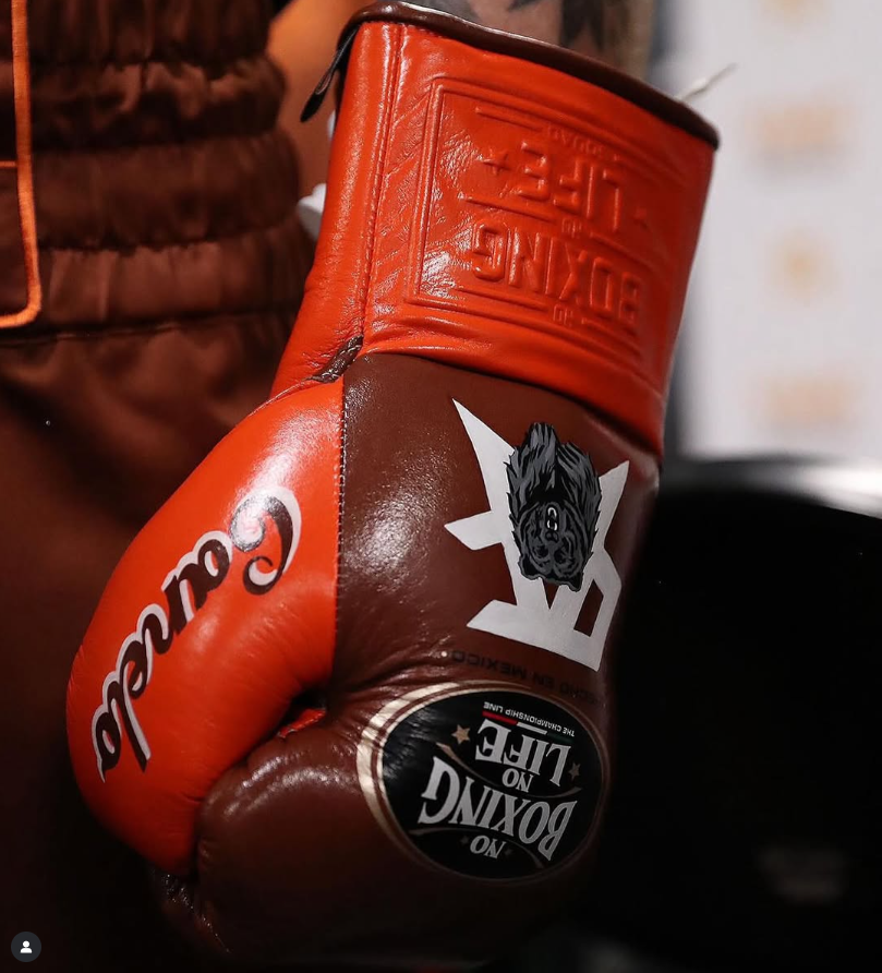 [ Canelo Vs Berlanaga] No Boxing No Life 10oz Gloves