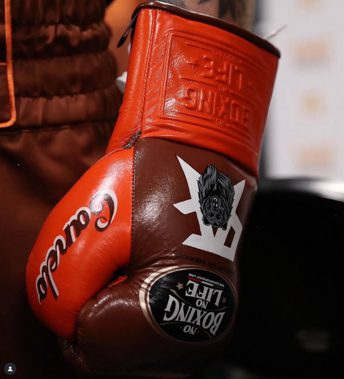 [ Canelo Vs Berlanaga] No Boxing No Life 10oz Gloves