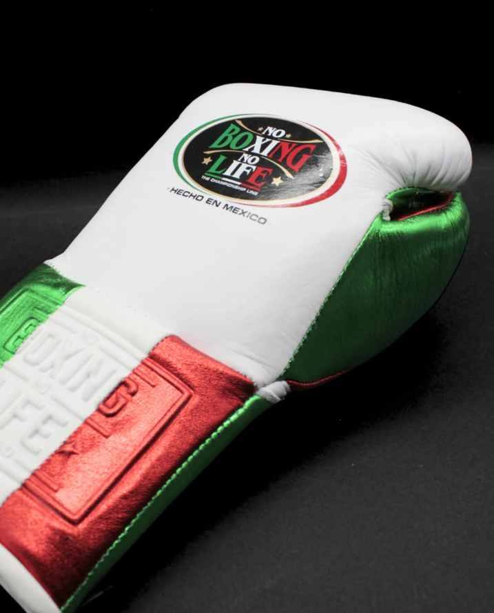 [ Mexico ] No Boxing No Life 14oz Gloves