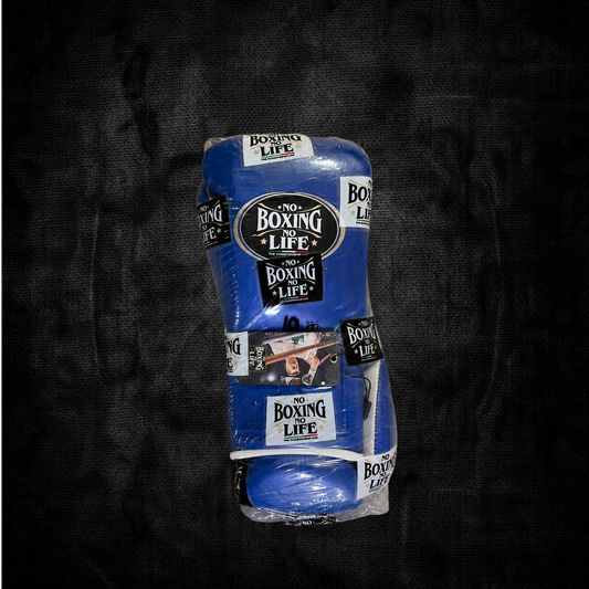 No Boxing No Life Fight Gloves Blue / White
