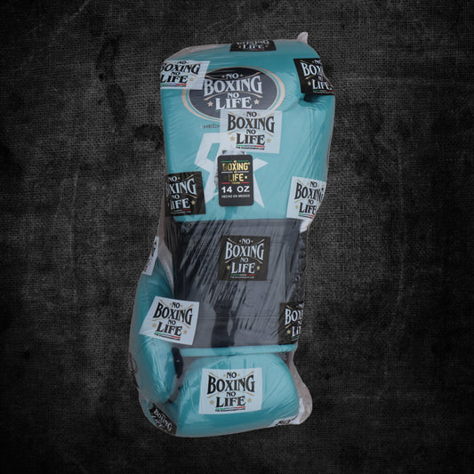 [ Canelo Vs Jaime ] No Boxing No Life Gloves